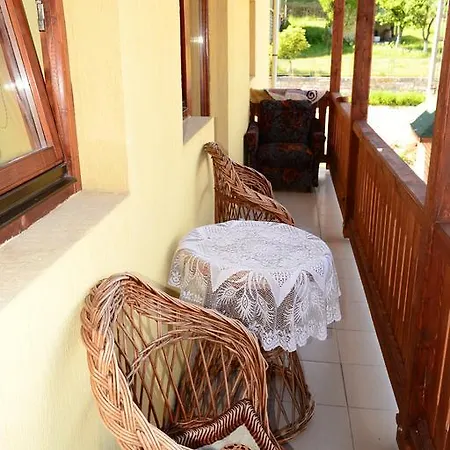 Guest house Floare De Colt