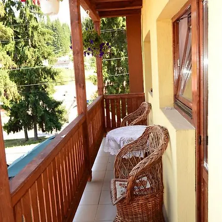 Floare De Colt Guest house