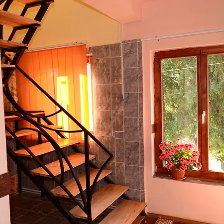 Floare De Colt Guest house 3*