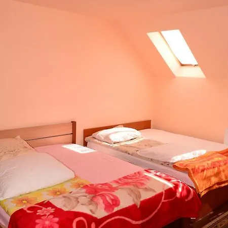 Guest house Floare De Colt